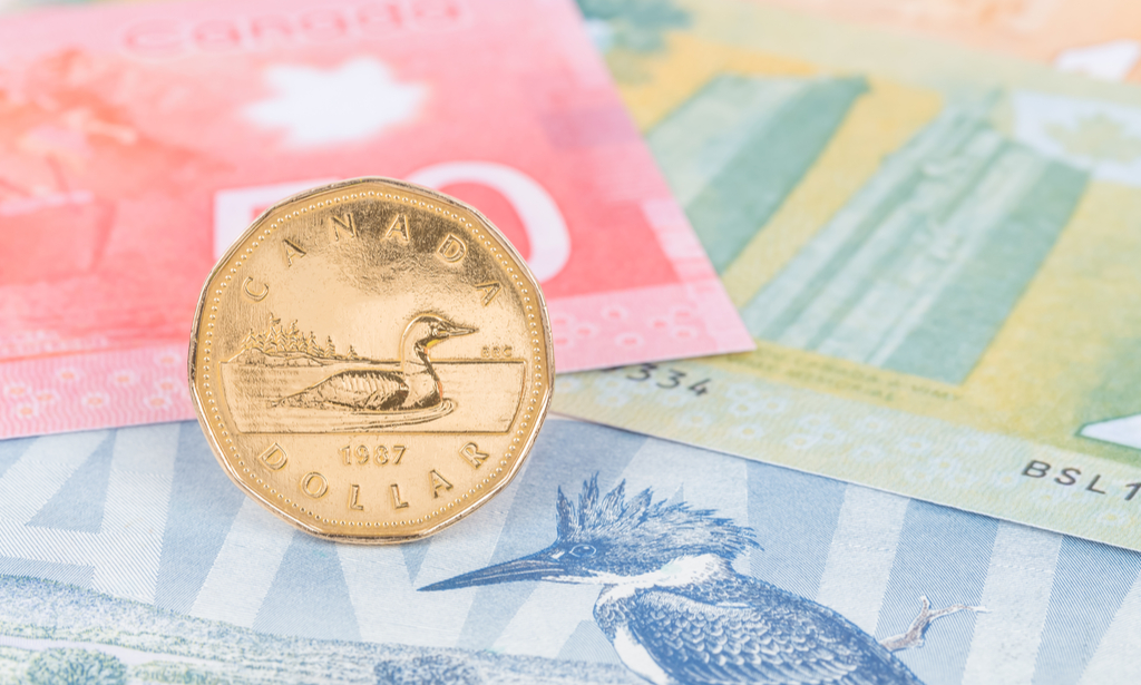 Loonie supported by higher oil and record highs in Bank of Canada business outlook